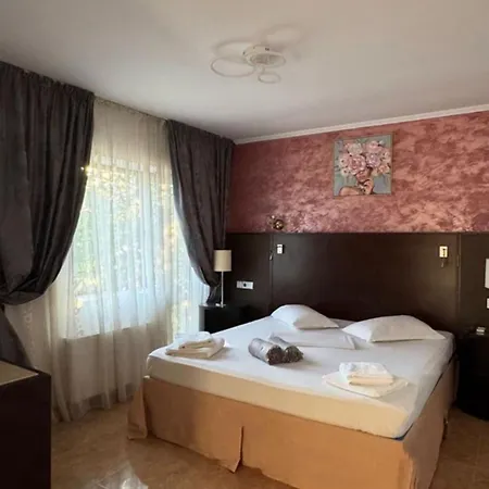 Pensiunea Diamond بيت ضيافة إيفوري نورد